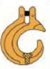 Experienced Chain sling OEM Service Supplier4.png