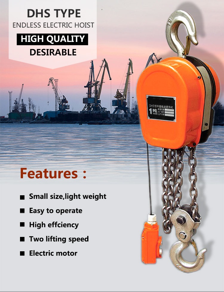 Professional Exporter of DHS Electric Chain Hoists5-2.jpg