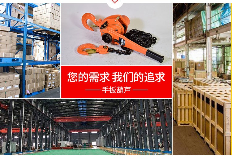 China Supplier of VL lever hoists 10-10.jpg