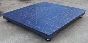 Explosion Proof 1000kg 2000kg 3000kg Electronic Industrial Floor Weighing Scale