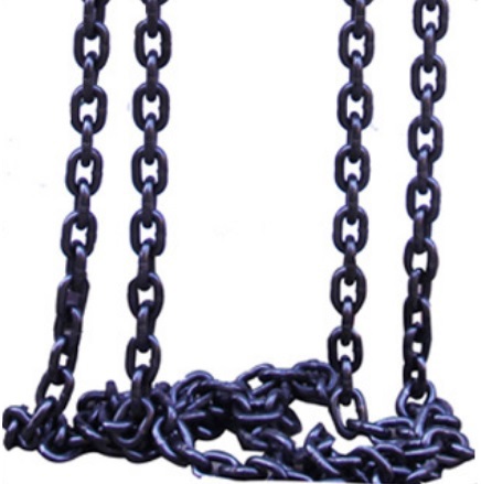 Competitive DHS Electric Chain Hoist China Supplier1-3.jpg