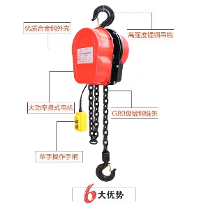 Hot sale factory direct price good Quality 1ton 2ton dhs electric chain hoist