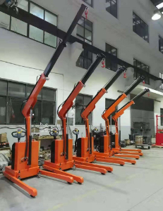 Inquiry about 1t fully electric floor crane from Qatar​