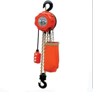 Inquiry about 2ton Dhk Electric Chain Hoist from India