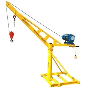 Inquiry about Portable Small Lift Electric 400 500 300 200 100kg Single Double Rope Construction Mini Crane with Mini Hoist for Lifting Materials from India