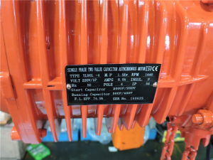 Details of 1T electric chain hoist single phase 230VAC for New Zealand