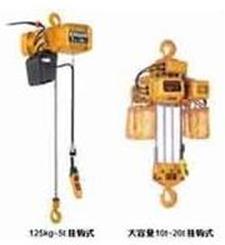Japan Kito ER2 Hook Type Electric Chain Hoist.jpg