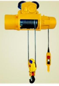 Need 1.5 Ton Rope Electric Hoist Without Pully ( Single Rope ) 220V from Maldives