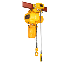 Cataloge and website of RM electric chain hoist for Saudi Arabia