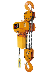 Price and catalog of electric chain hoist requested by Iran