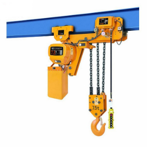 Requirements of 110 volts AC 60 cycle single fall electric hoists from Canada