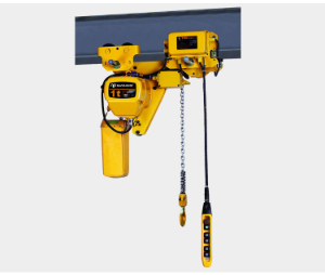 Price list for el.chain hoist for capacities from 1t to 5t for standard LIfts from India
