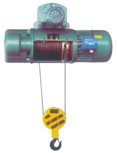Looking for Monorail Electric Wire Rope Hoist from Singapore
