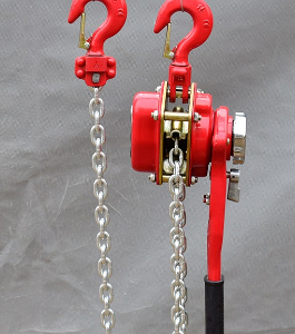 Inquiry about 1.5T lever hoist from Austria