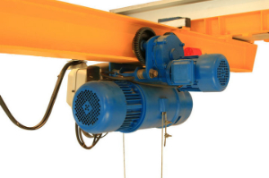 Need to buy an electric hoist crane of 10 tons capacity and 12 meters lifting height from Saudi Aribia