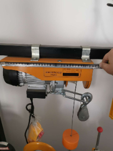 Electric hoist to lift about 100 kg 20 metre height